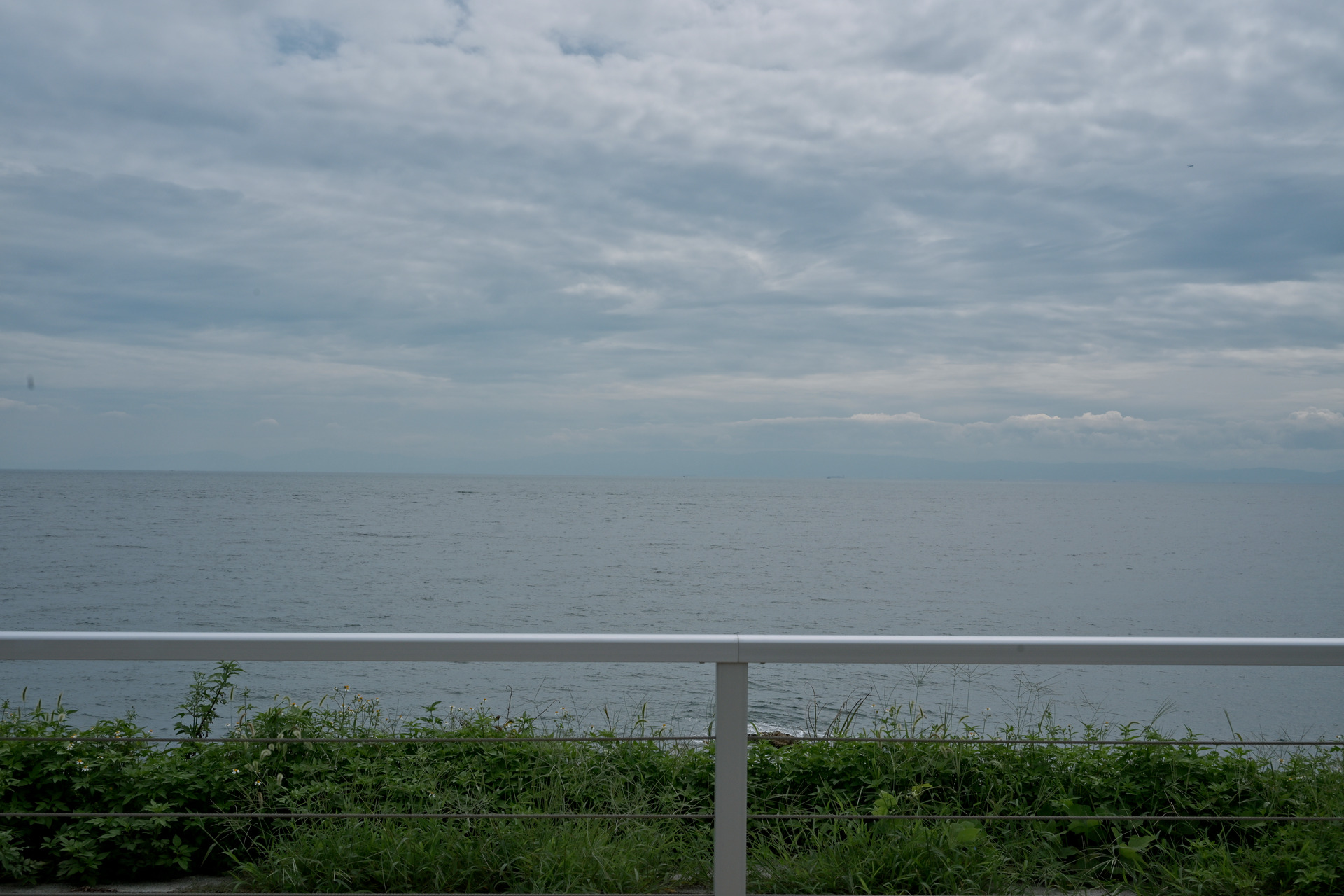 手前の白い柵と草木の向こうに、海と雲の広がる空が見える