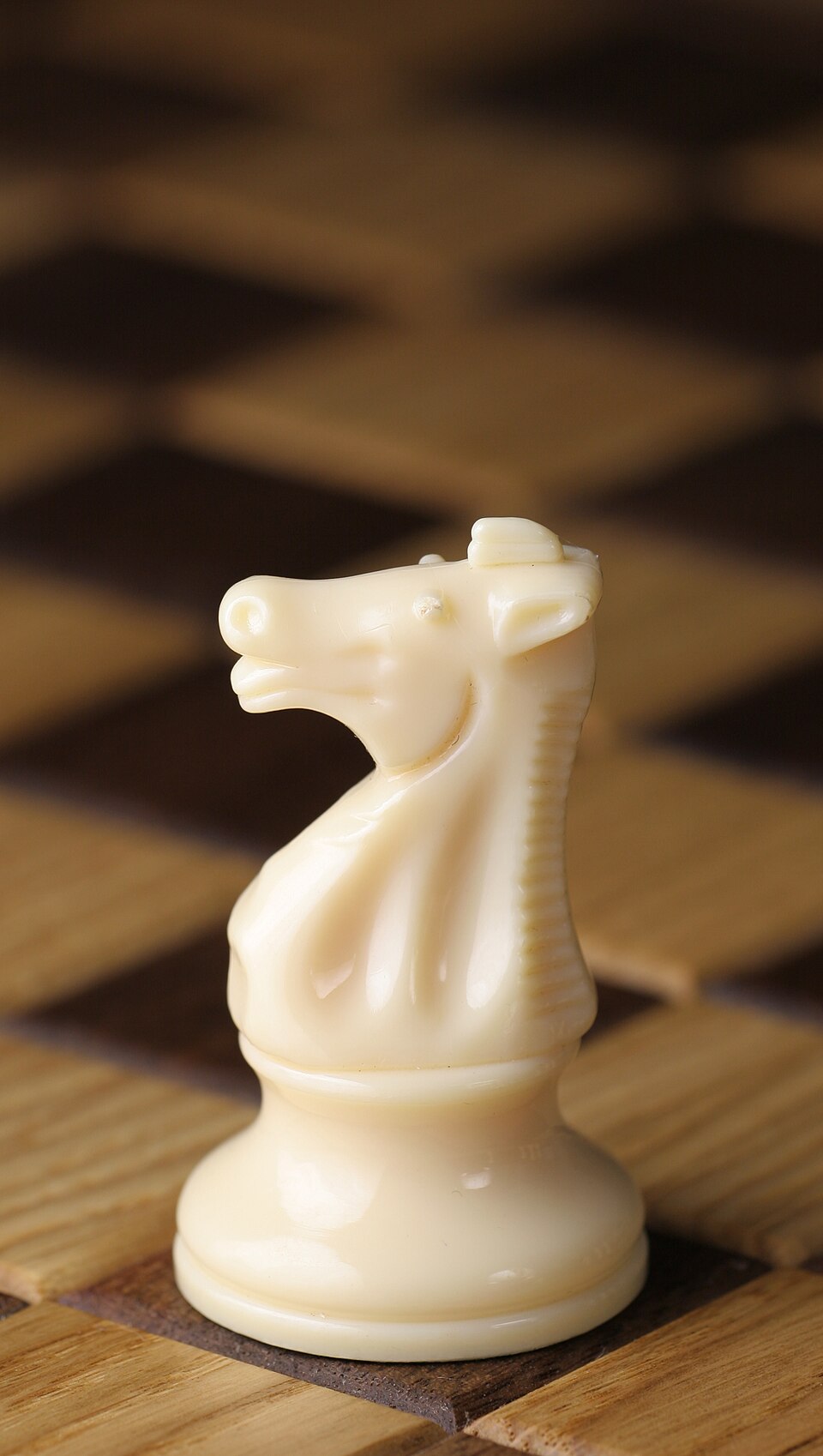 A white knight piece photographed at an angle. The horse head has raised ears and mane